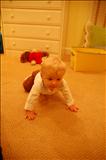 01 crawling